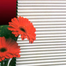 Persianas Artesanart Celular Persianas Artesanart Celular